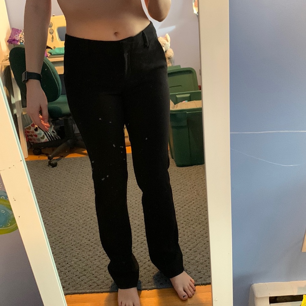 express straight leg dress pants